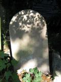image of grave number 254780